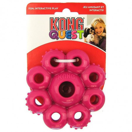 Kong Quest Pods Small 