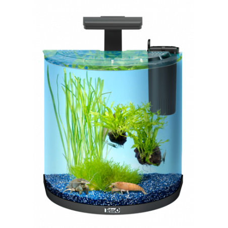 TETRA AQUAART ACQUARIO EXPLORER LINE LED NIGHTDAY 30 ANTRACITE