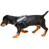 JULIUS K9 IDC POWERHARNESS PETTORINA BLUE BABY2 CM 33-45, KG 2-5