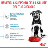 ROYAL CANIN DOG PUPPY MAXI 4 KG