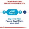 ROYAL MAXI JUNIOR 15KG.