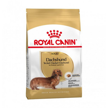 ROYAL CANIN CANE BREED BASSOTTO ADULT DA 500 GR