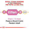 ROYAL KITTEN PERSIAN 2 KG