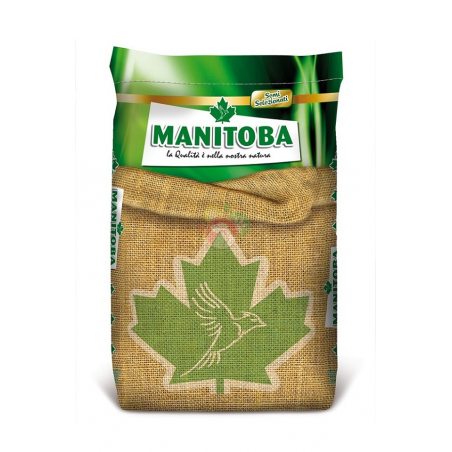 Manitoba - Girasole piccolo striato iregi - 12,5Kg