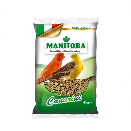 Manitoba - Miscuglio Canarini T1 Biscuit - 4Kg