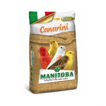 MISCELA CANARINI T 1 KG 20 MANITOBA