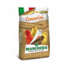 MISCELA CANARINI T 1 KG 20 MANITOBA