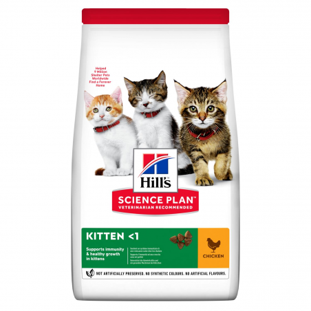 Hill's Science Plan Kitten Alimento per Gattini al Pollo 300 gr