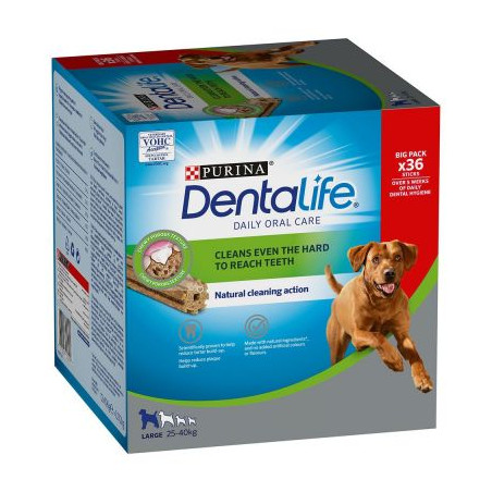 DENTALIFE LARGE 2 12x106g  XM