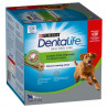 DENTALIFE LARGE 2 12x106g  XM