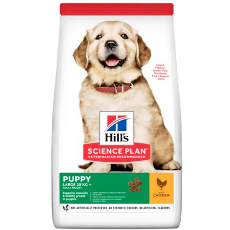 HILL'S PUPPY LARGE BREED 12 KG