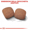 ROYAL CANIN GIANT ADULT 15KG.