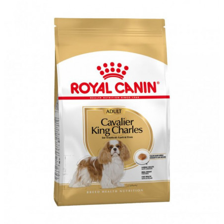 ROYAL CANIN CANE BREED CAVALIER KING ADULT DA 1,5 KG