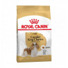 ROYAL CANIN CANE BREED CAVALIER KING ADULT DA 1,5 KG