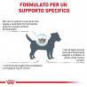 ROYAL CANIN HYPOALLERGENIC SMALL DOG 1KG.