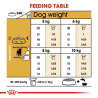 ROYAL CANINE JACH RUSSEL ADULT 1.5KG