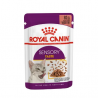 ROYAL CANIN SENSORY TASTE BOC.IN SALSA 85 GR.