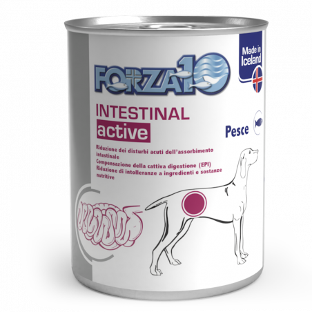 Forza 10 Intestinal Actiwet lattina 390g