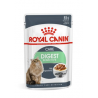 ROYAL CANIN CAT DIGEST CARE SALSA 85 GR.