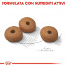 ROYAL LIGHT WEIGHT CARE MEDIUM 10 KG