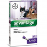 ADVANTAGE 80 GATTO+CONIGLIO 4X0,8 ML