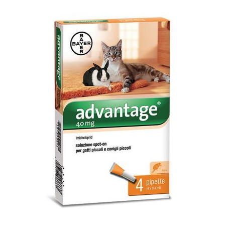 ADVANTAGE 40 GATTO+CONIGLIO 4X0,4 ML