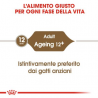 ROYAL AGEING +12 GRAVY 85GR. SALSA