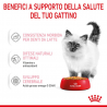 ROYAL CANIN KITTEN STERILIZED 85 GR GRAVY