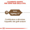 ROYAL CANIN CAT SENIOR AGEING 400 GR