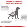 ROYAL CANIN RENAL DOG 2KG.