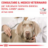 ROYAL CANIN RENAL DOG 2KG.