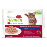 Trainer Natural Adult Cat Flowpack con Manzo - 4x85gr