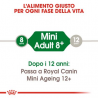 ROYAL MINI ADULT 8+ 8KG.