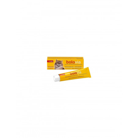 Bolo Via pasta 100 g -