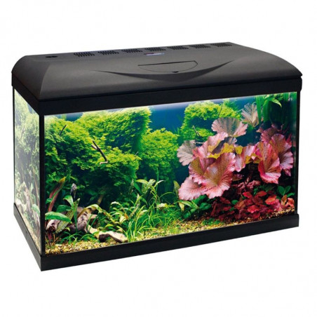 AMTRA AQUARIUM BASIC 80 LED 80 x 45 x 32 cm