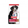 Hill's Cane Science Plan Adulto Large Breed Agnello E Riso 12 Kg