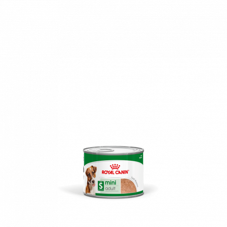 Royal Cane Mini Adult Pate lattina 195gr