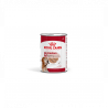 Royal Canin Dog Adult Medium Ageing 410g