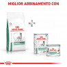 ROYAL DIABETIC DOG 1.5KG
