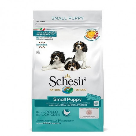 Schesir dog Dry Line Small Puppy con Pollo 800gr