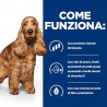Hill's Prescription Diet Canine z/d 3 KG