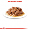INTENSE BEAUTY GRAVY 85 GR