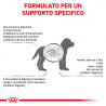 ROYAL CANIN DOG GASTRO - INTESTINAL PUPPY 2,5 KG.