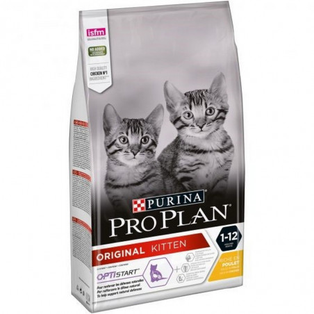 Purina Pro Plan Original Kitten con Pollo - 1,5Kg
