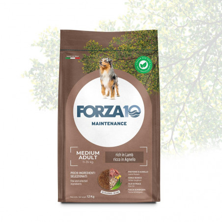 Forza 10 Medium Adult Maintenance con Agnello e Riso 12kg