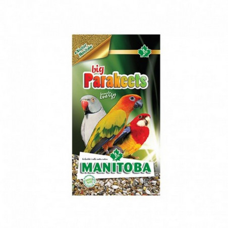 Manitoba - Big Parakeets Energy - 2Kg