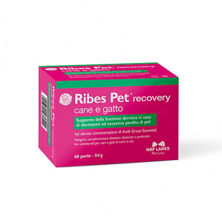 NBF Lanes - Ribes Pet Recovery - 60 perle