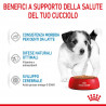 ROYAL DOG PUPPY MINI 85 GR