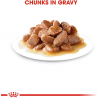 ROYAL INSTINCTIVE GRAVY 85GR. SALSA
