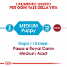 ROYAL CANIN MEDIUM JUNIOR 15 KG